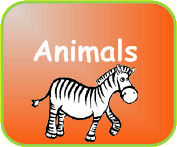 Animal Names in Hindi
