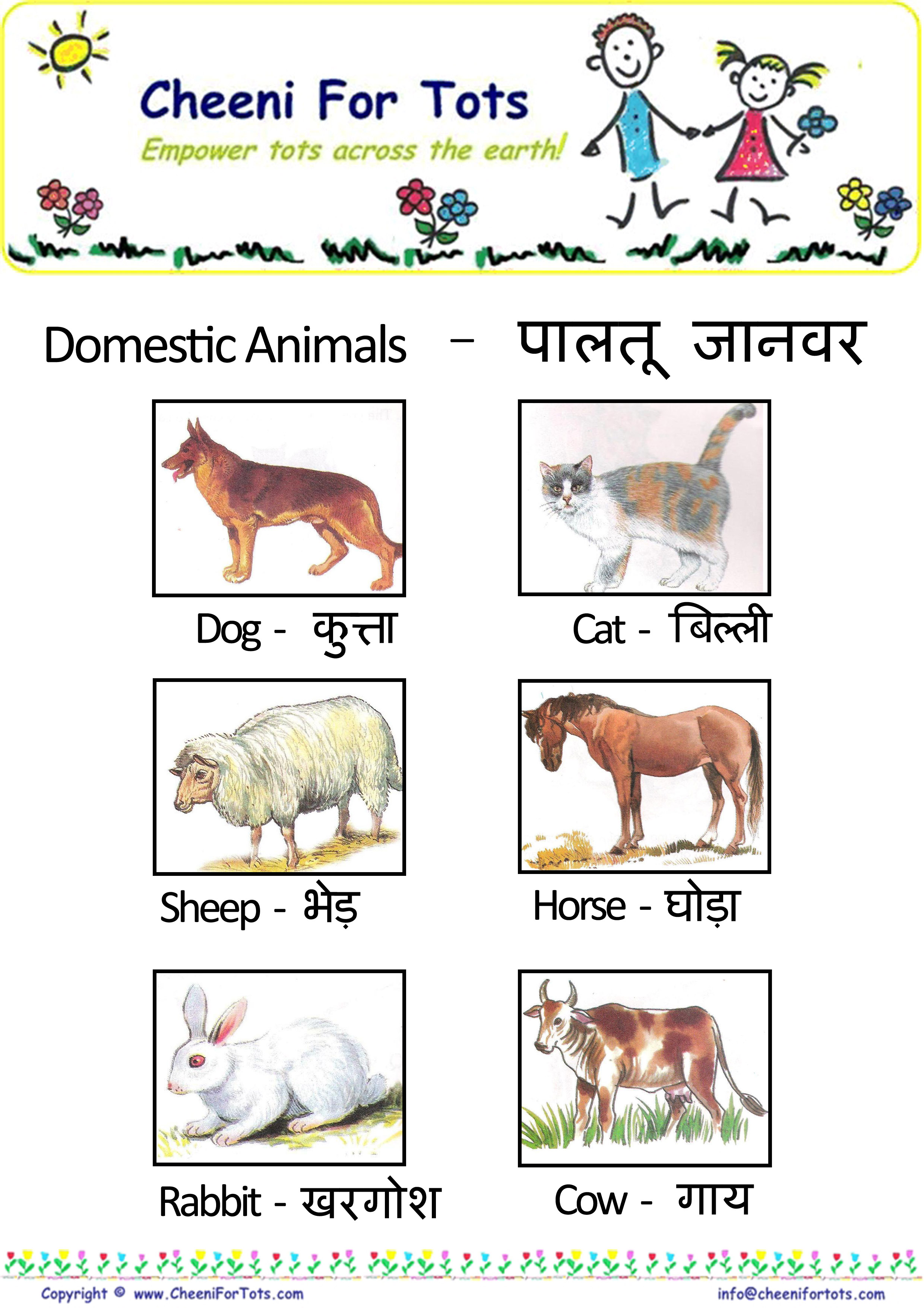 Learn Animal Names in Hindi Learn Animal Names in Hindi