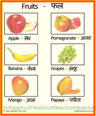 Fruit Chart In Hindi