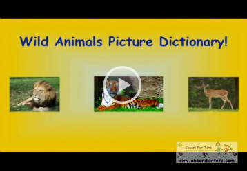 CheeniForTots-Learn Hindi Wild Animal Names